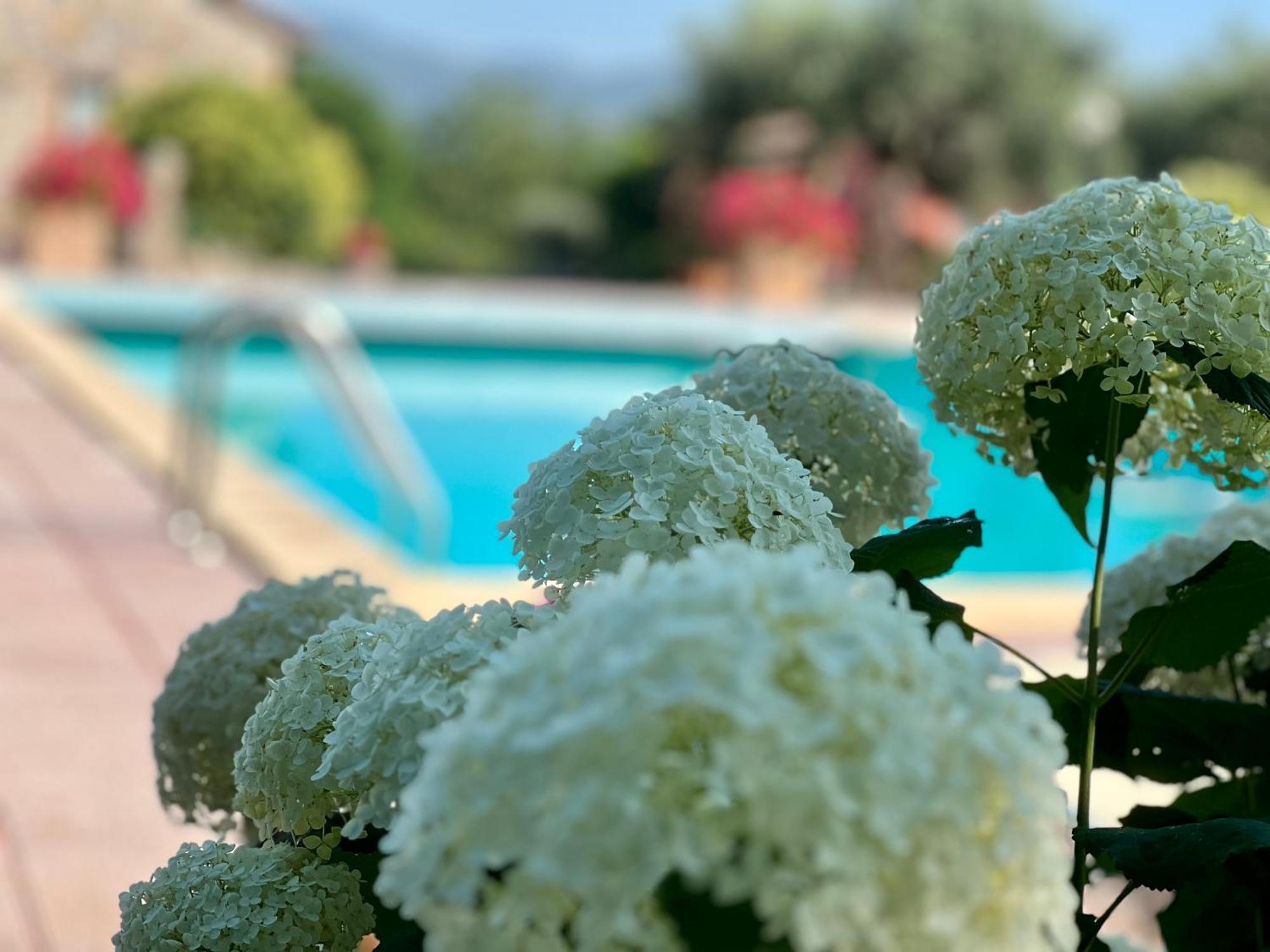 Le Di Lisetta Homes * Corciano