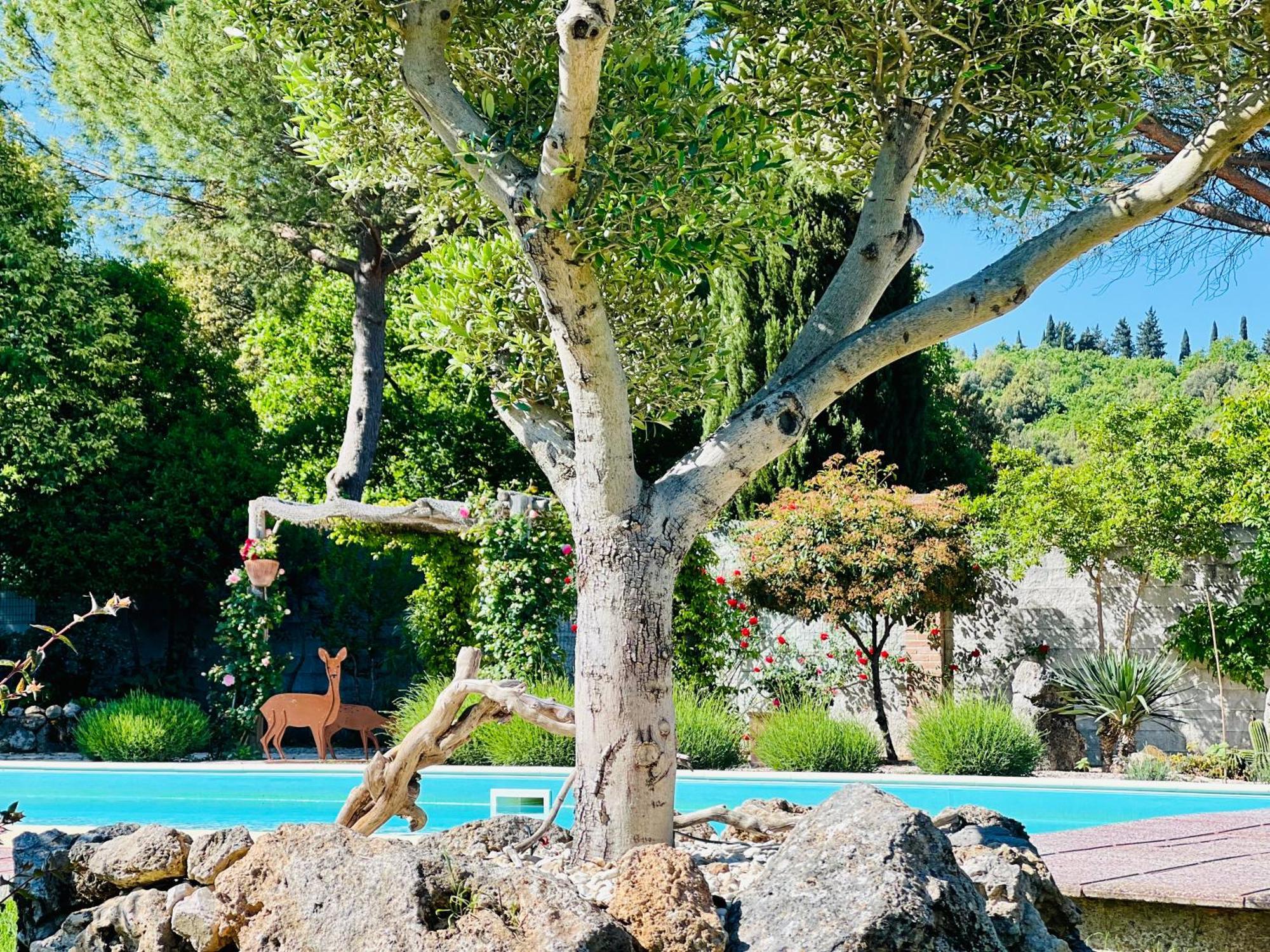 Le Di Lisetta Homes Holiday home