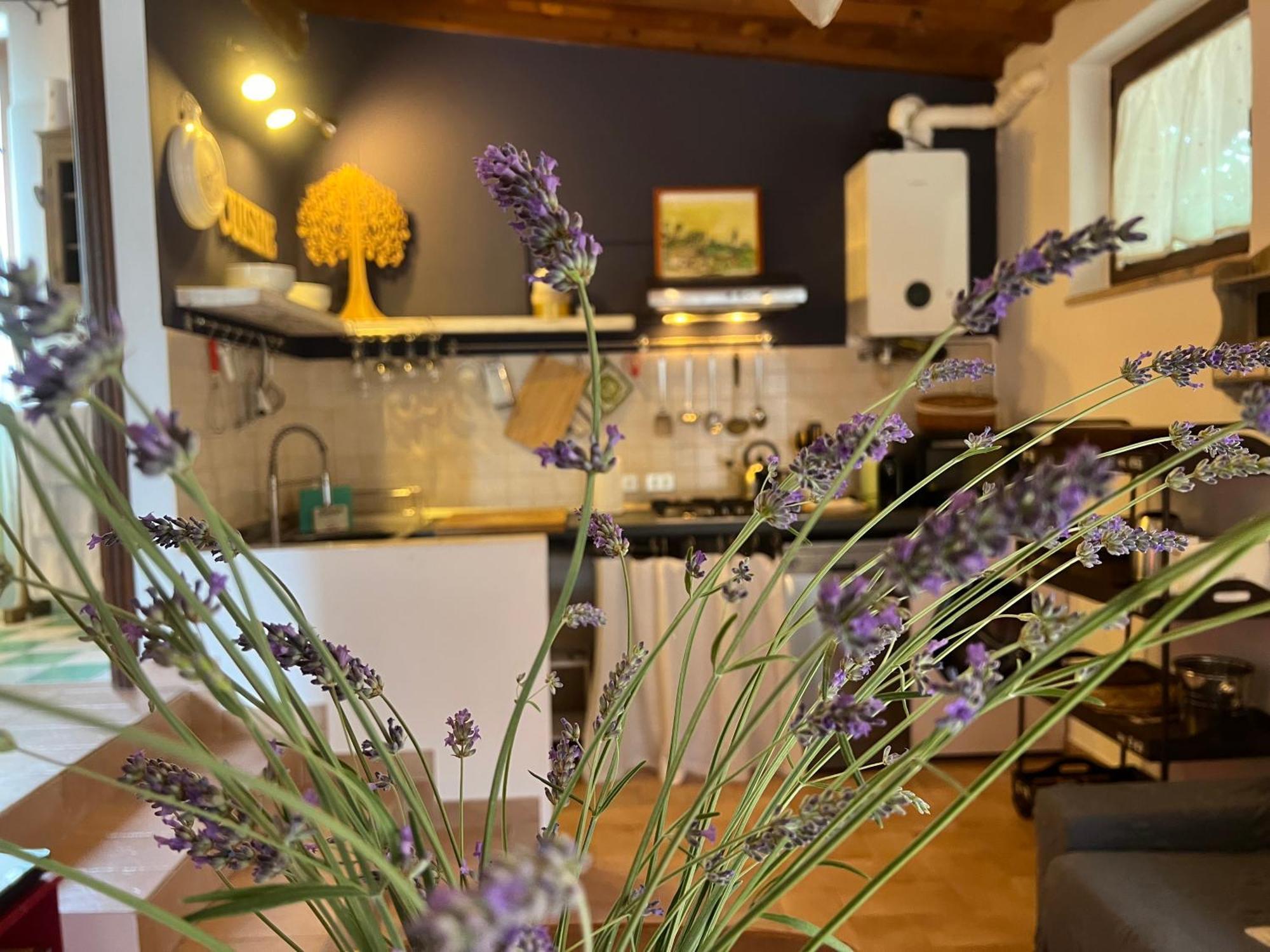 Le Di Lisetta Homes * Corciano