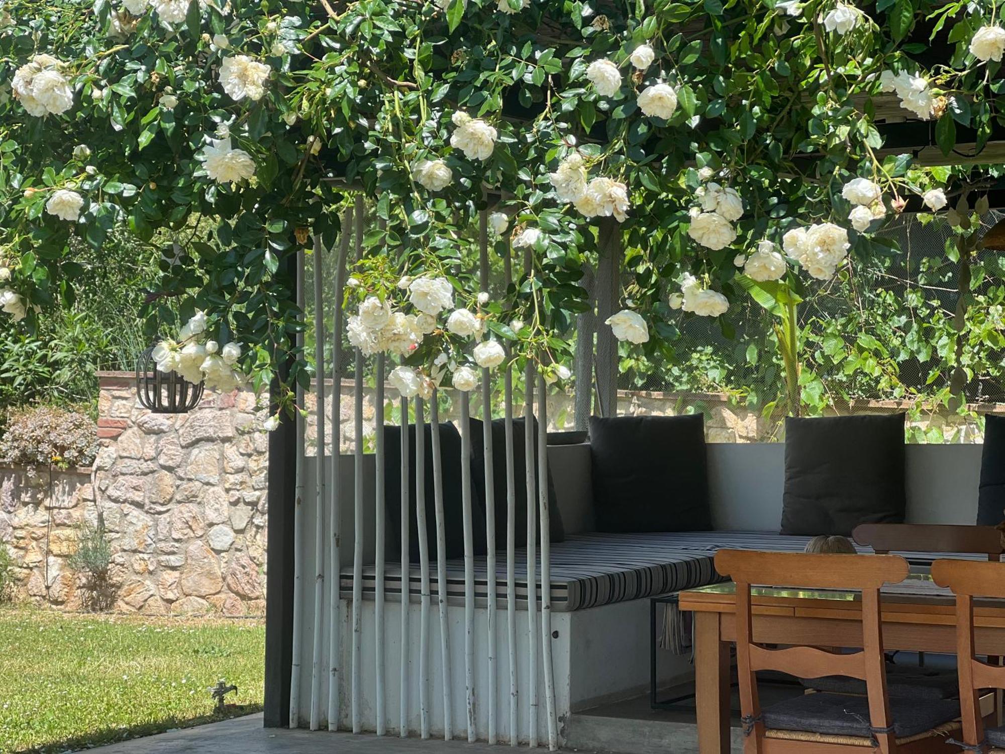 Le Di Lisetta Homes Holiday home *