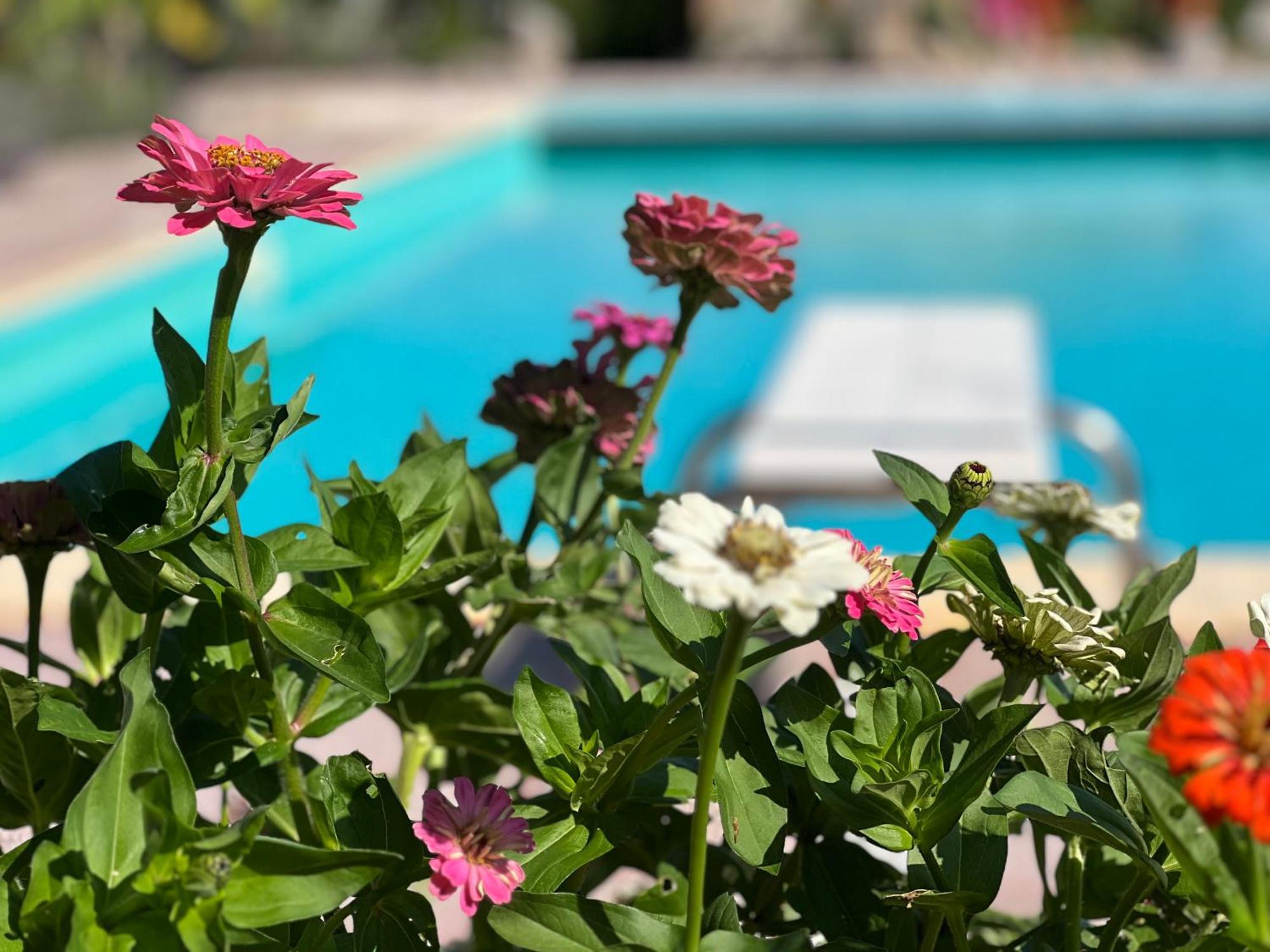 Le Di Lisetta Homes Holiday home *